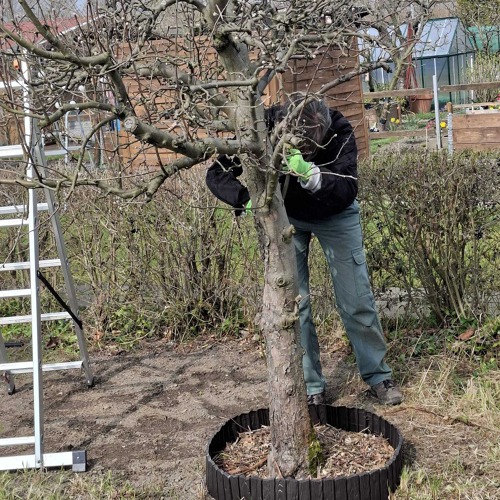 Das war die Baumschulung&nbsp;