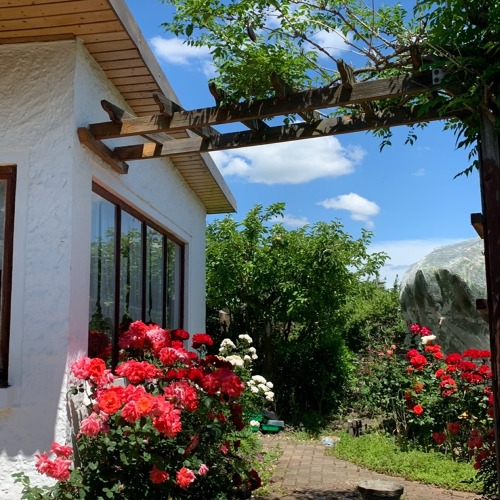 Garten 31    