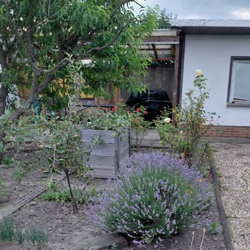Garten 135