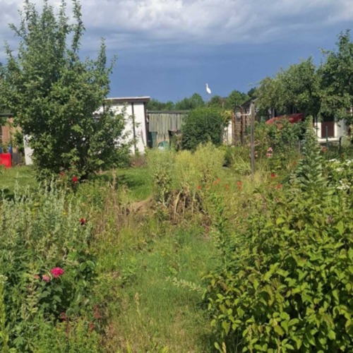 Garten 57