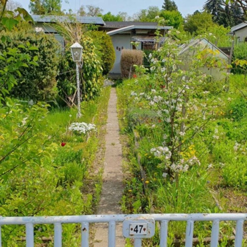 Garten 47    