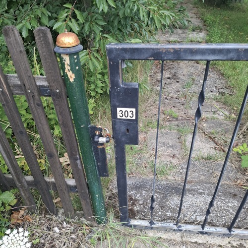 Garten 303